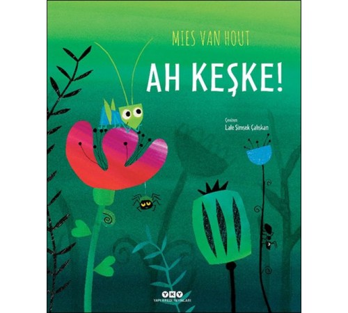 Ah Keşke! Ah Keşke!