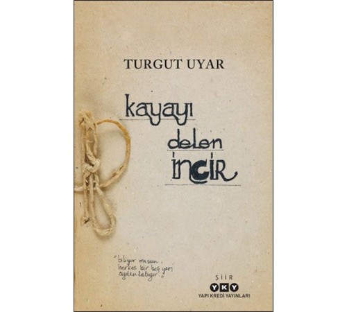 Kayayı Delen İncir