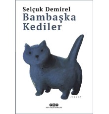 Bambaşka Kediler