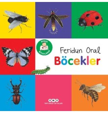 Minik Kitaplarım – Böcekler