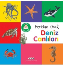 Minik Kitaplarım – Deniz Canlıları