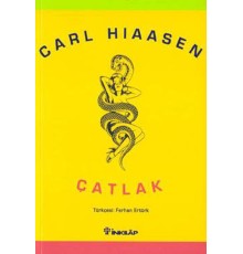 Çatlak