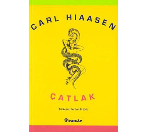 Çatlak