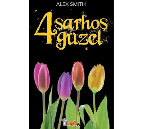 4 Sarhoş Güzel