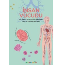 İnsan Vücudu