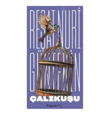 Çalıkuşu (Yeni Kapak)