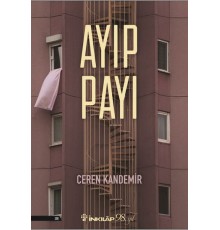 Ayıp Payı