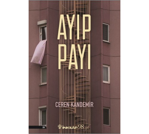 Ayıp Payı