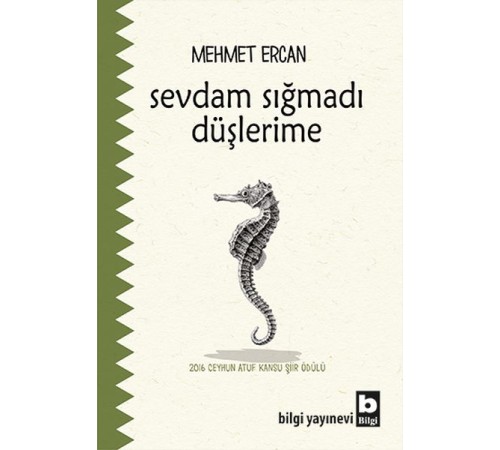 Sevdam Sığmadı Düşlerime
