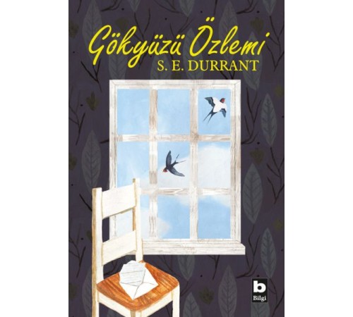 Gökyüzü Özlemi