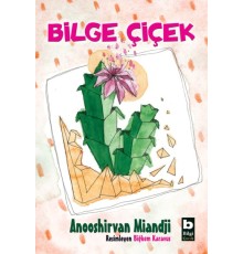 Bilge Çiçek