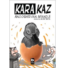 Kara Kaz