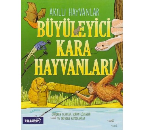 Akıllı Hayvanlar Büyüleyici Kara Hayvanları