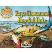 Kaya Havuzuna Hoş Geldiniz