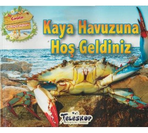Kaya Havuzuna Hoş Geldiniz