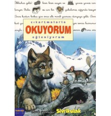 Sivrikulak / Çıkartmalarla Okuyorum Eğleniyorum