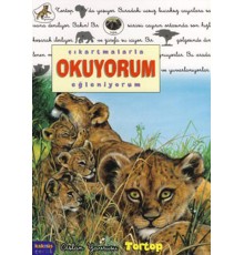 Tortop / Çıkartmalarla Okuyorum Eğleniyorum