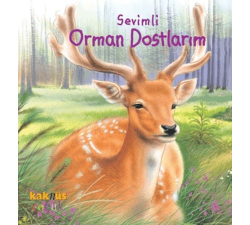 Sevimli Orman Dostlarım Sevimli Orman Dostlarım