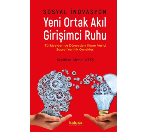 Sosyal İnovasyon Yeni Ortak Akıl Girişimci Ruhu