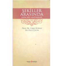 Şekiller Arasında Nazım Şekli Araştırmaları