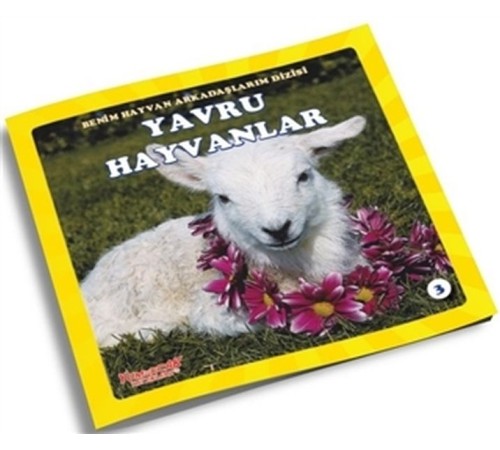 Yavru Hayvanlar - Benim Hayvan Arkadaşlarım Dizisi 3