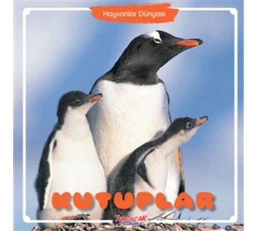 Kutuplar - Hayvanlar Dünyası