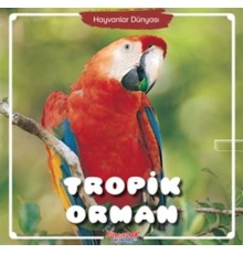Tropik Orman - Hayvanlar Dünyası