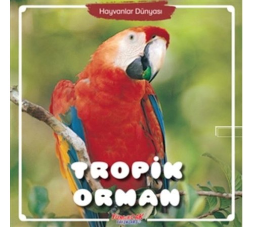 Tropik Orman - Hayvanlar Dünyası