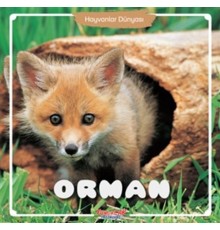 Orman - Hayvanlar Dünyası
