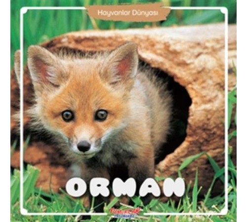 Orman - Hayvanlar Dünyası Orman - Hayvanlar Dünyası