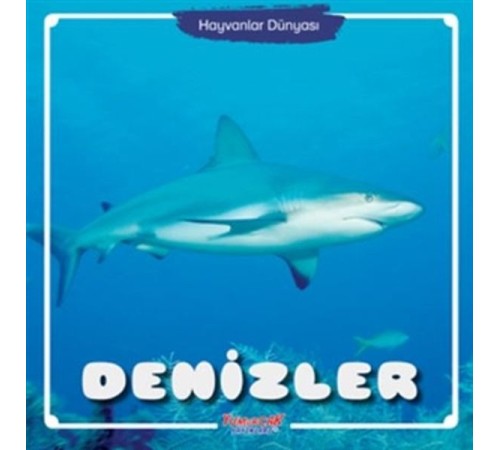 Denizler - Hayvanlar Dünyası Denizler - Hayvanlar Dünyası