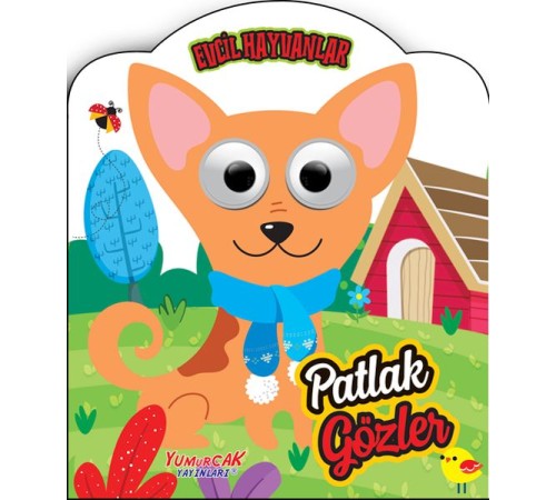 Patlak Gözler - Evcil Hayvanlar