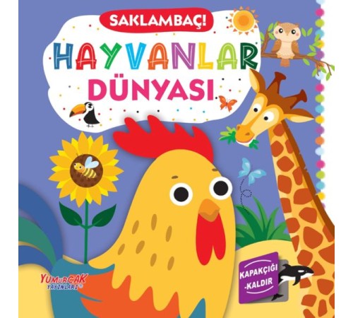 Saklambaç! Hayvanlar Dünyası