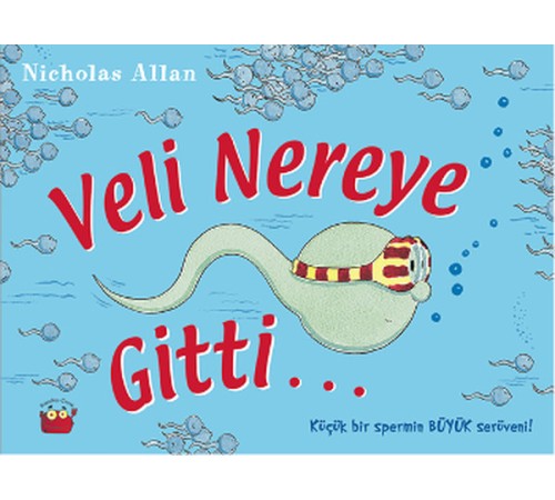 Veli Nereye Gitti... Veli Nereye Gitti...