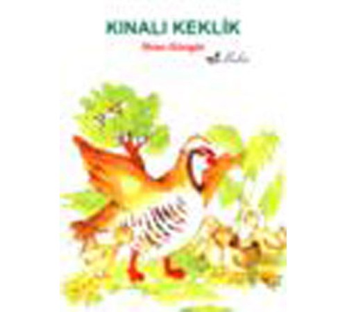 Kınalı Keklik
