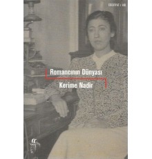 Romancının Dünyası
