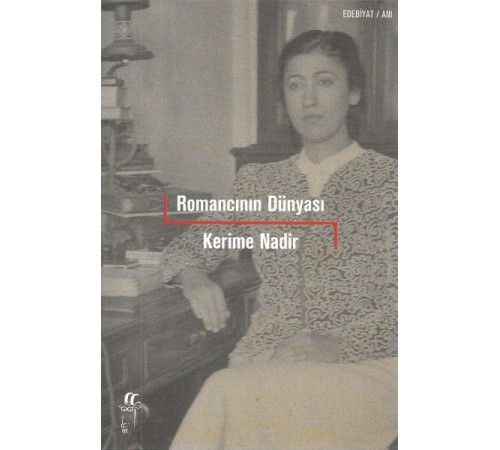 Romancının Dünyası Romancının Dünyası