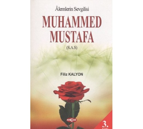Mevlana ve Mesnevi Gerçeği
