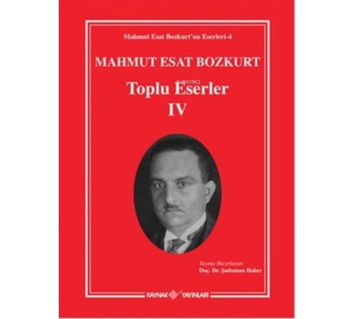 Mahmut Esat Bozkurt Toplu Eserler - 4