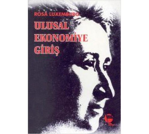 Ulusal Ekonomiye Giriş
