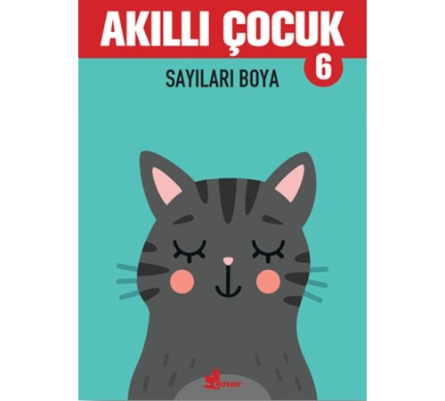 Sayıları Boya - Akıllı Çocuk 6