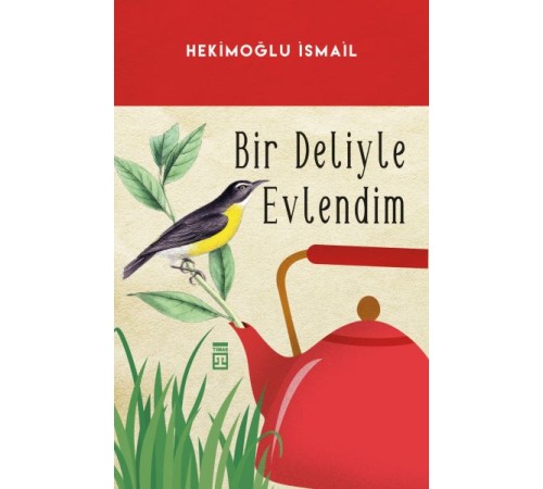 Bir Deliyle Evlendim Bir Deliyle Evlendim