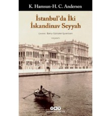 İstanbul'Da İki İskandinav Seyyah