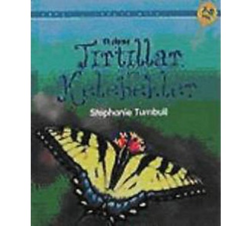 Tırtıllar ve Kelebekler