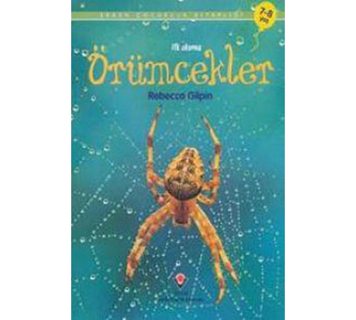 İlk Okuma - Örümcekler