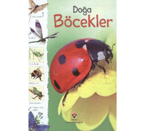 Doğa - Böcekler