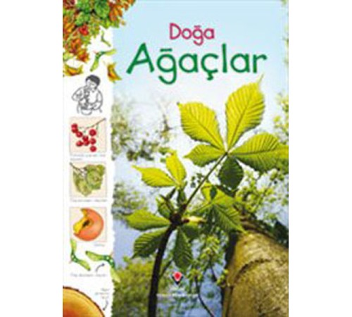 Doğa - Ağaçlar