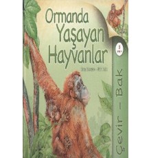 Çevir Bak Ormanda Yaşayan Hayvanlar