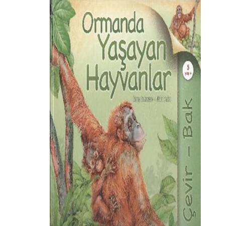 Çevir Bak Ormanda Yaşayan Hayvanlar