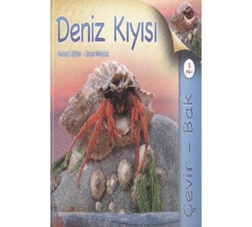 Çevir Bak Deniz Kıyısı